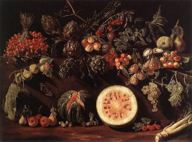 BONZI, Pietro Paolo Fruit, Vegetables and a Butterfly oil painting image